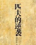 匹夫的逆袭有声小说蜘蛛播音