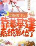 迫嫁为妃免费阅读
