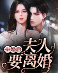 隐婚后夫人天天想离婚免费阅读