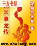 九天真龙传免费阅读