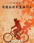 四合院我傻柱捡到禽满剧本读者吧