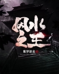 风水之王紫梦幽龙