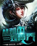 从都市到神界的小说
