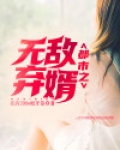 都市无敌弃婿小说下载