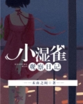 小湿雀观察日记