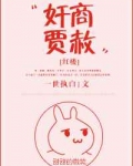 贾赦抄家