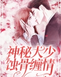 小说蚀骨闪婚,神秘总栽的私宠