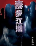 毒步天下讲的是什么
