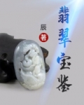 翡翠宝鉴罗八指百度小说