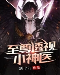 至尊透视神医赌石