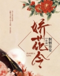 娇花令全文阅读