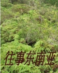 闯入缅北的一群人是谁