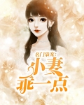 名门枭宠小妻乖一点百度云
