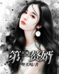 江城第一赘婿全文免费阅读