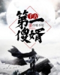 第一傻妃免费阅读