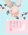 重生之老公宠不停