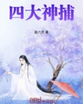 四大名捕斗将军