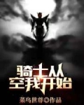 骑士从空我开始小说免费阅读