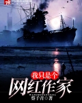 我只是个网红作家英文