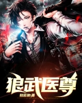 医武上尊小说免费阅读