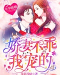 幸孕暖婚短剧