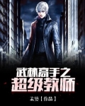 老师武林高手
