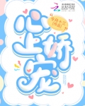 心上娇颜