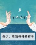 秦少，看我哥哥的样子