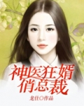 神医狂婿俏总裁TXT电子书下载完本