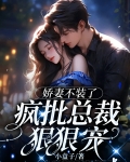 娇妻宠不够,总裁的强婚蜜