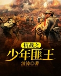 抗战之少年匪王txt