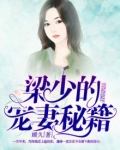 梁少 小说
