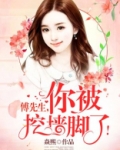 傅先生你的马甲又掉了