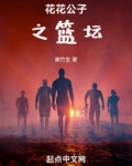 玩转篮彩书籍