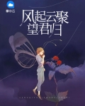 风起云归时小说
