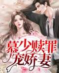 慕少宠妻如命小说免费阅读