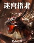 迷宫指北小说