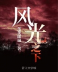 风光之下讲的什么