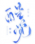 醒觉小说俞览