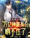 悔婚后，万亿神豪身份瞒不住了