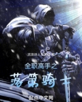 全职高手之落第骑士