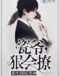 瓷爷狠会撩全文免费阅读