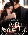 男主厉述南