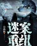 迷案重组txt