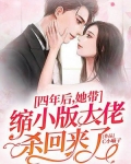 四年后,她带缩小版大佬杀回来了! 第210章