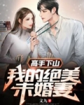 高手下山：我的绝美未婚妻