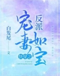 快穿之反派宠妻如宝txt百度云