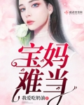宝妈难当电视剧在线观看