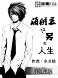 海贼王之特殊超人系果实小说