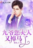 九爷您夫人又掉马了 小说